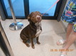 Click for Details of this Animal Click for Details of this Animal